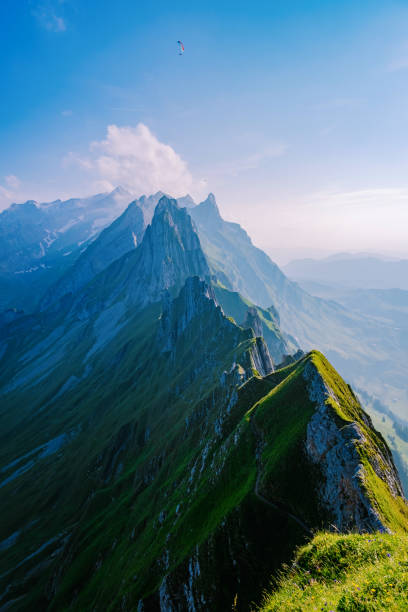 schaefler altenalptuerme montanha cume suíço alpstein alpino appenzell innerrhoden suíça, cume íngreme do majestoso pico schaefler na cordilheira alpstein appenzell, suíça com a neblina cobrindo o vale seealpsee - swiss culture switzerland european alps rock - fotografias e filmes do acervo