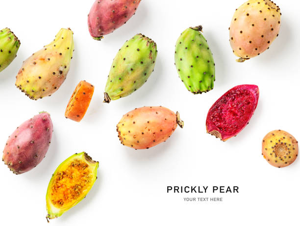 Prickly pear cactus fruits creative layout Prickly pear fruits creative layout isolated on white background. Healthy food and dieting concept. Tropical cactus fruit composition. Top view, flat lay prickly pear cactus stock pictures, royalty-free photos & images