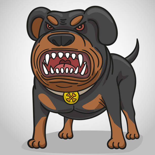Cartoon angry dog of breed a Rottweiler. Dog Rottweiler gets angry, growls, bares his teeth angry dog barking cartoon stock illustrations