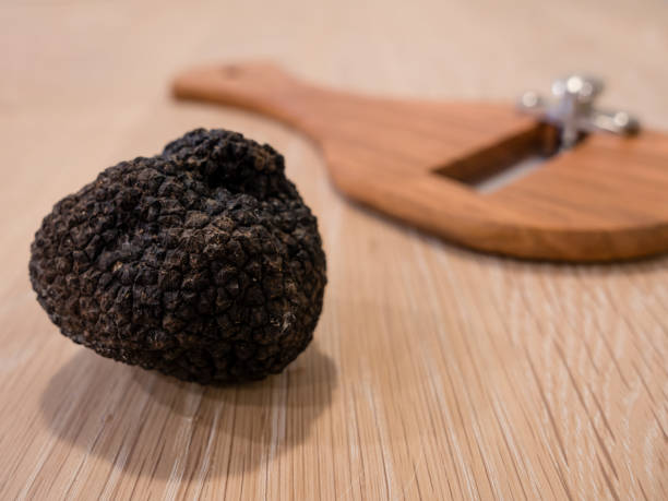 istock Italian Black Summer Truffle 1336828427