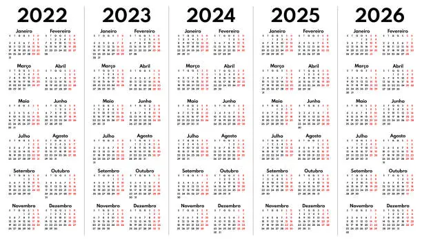 Vector illustration of 2022 2023 2024 2025 2026 portuguese monthly calendar grid, vector template