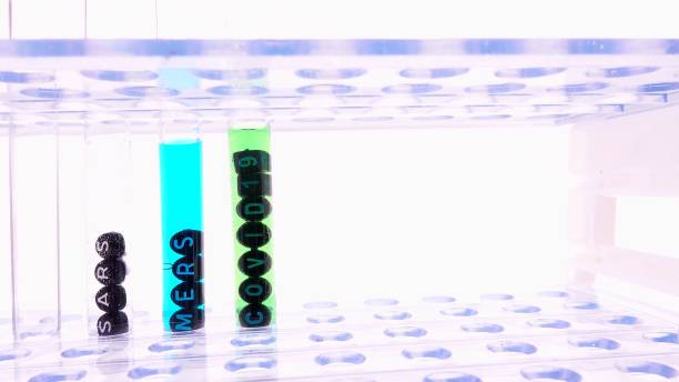 istock Test Tubes With New Covid Strains Samples In A Laboratory Rack 1336833753