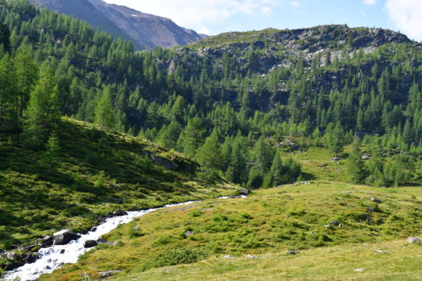 istock Beautiful landscape in Southtyrol with mountains 1336833910