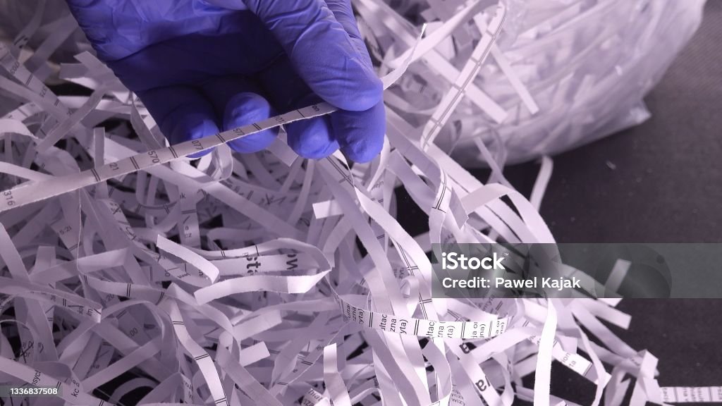 Police Forensics Technician In Blue Latex Gloves Investigating Shredded Confidential Documents Collected From Trash And Secured As Potential Evidence Evidence Stock Photo