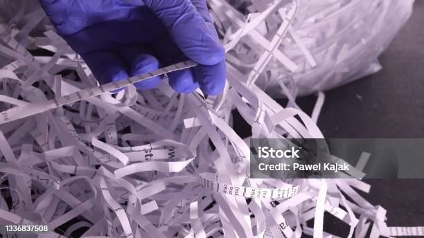 Police Forensics Technician In Blue Latex Gloves Investigating Shredded Confidential Documents Collected From Trash And Secured As Potential Evidence Stock Photo - Download Image Now