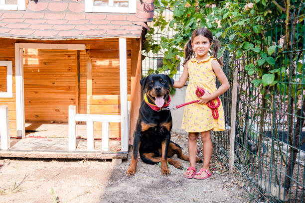 little girl posing with her dog little girl posing with her dog dog aggression education friendship stock pictures, royalty-free photos & images