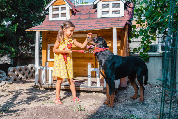 little girl playing with her dog