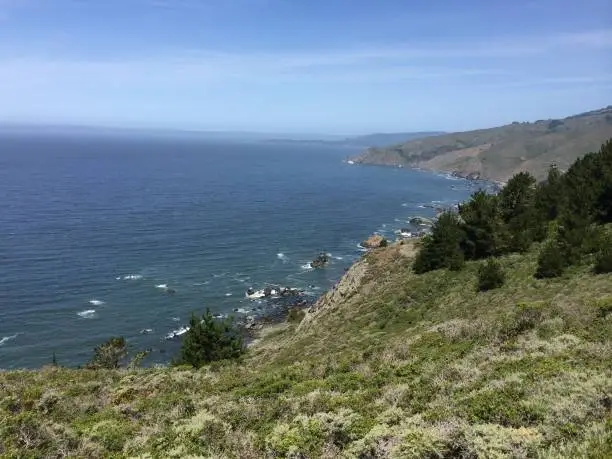 Photo of Muir Beach