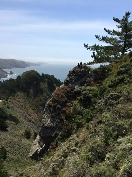 Photo of Muir Beach