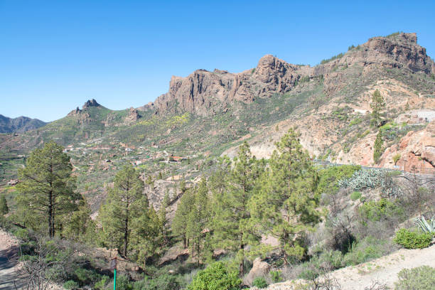 istock Mountain world of Gran Canary 1336841268