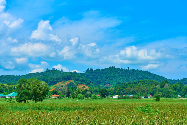 istock Stunning village landscape in tropical highlands a 1336841927