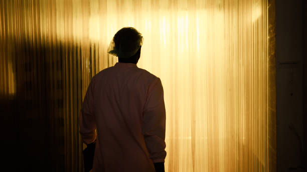 Worker goes out through transparent pvc strip curtain Male worker goes out from room through transparent pvc strip curtain in factory factory worker silhouette stock pictures, royalty-free photos & images
