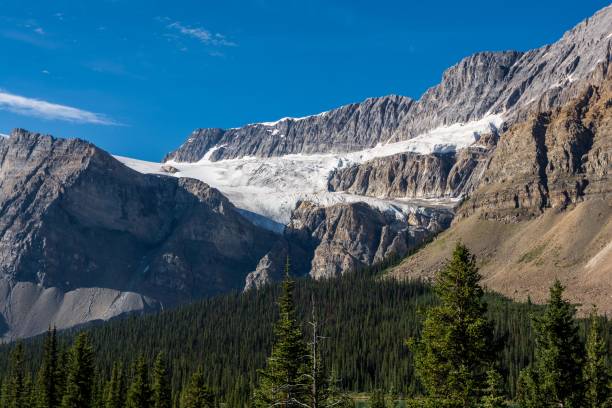 istock Glaciers in Rocky Mountains 1336844474