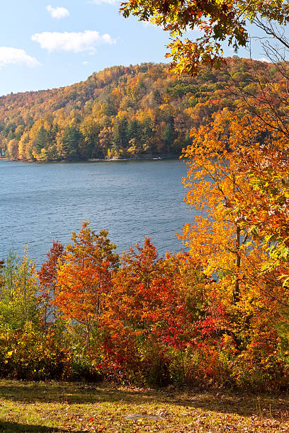 istock Autumn in North Carolina 133685937