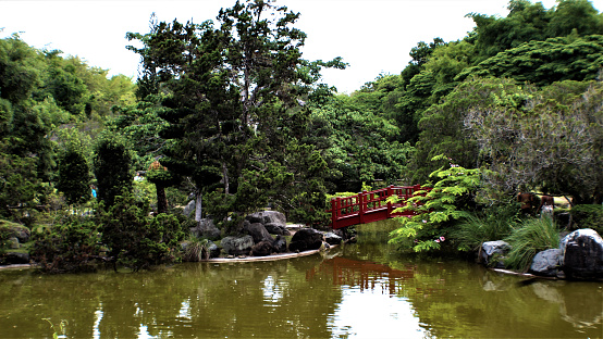 Japanese garden inside the Botanical Garden, Santo Domingo, Dominican Republic.