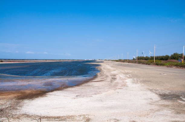 istock Cigu lagoon in Taiwan. 1336863723