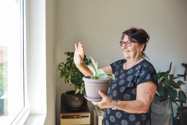 istock Grandmother social distancing 1336868550