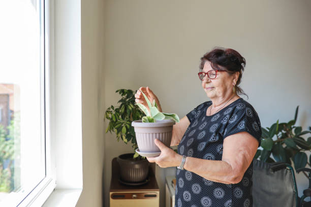istock Grandmother with her plants quarantining 1336868573