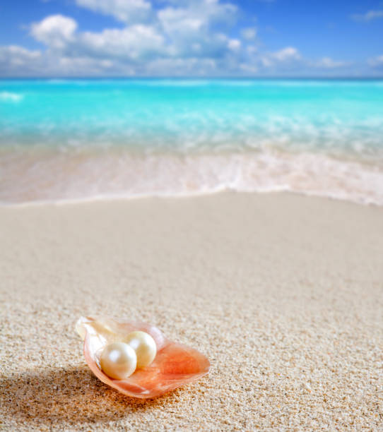 istock Caribbean pearl on shell white sand beach tropical 1336870543