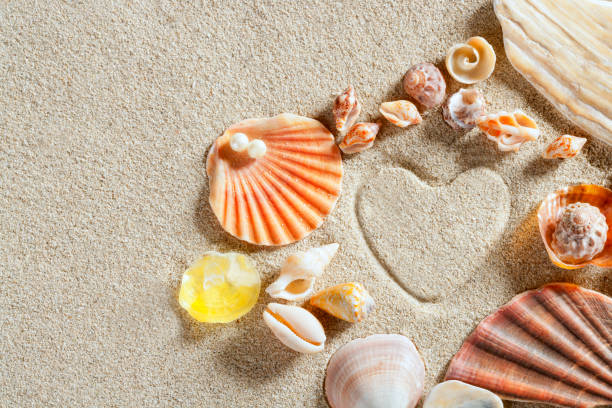 istock beach white sand heart shape print summer vacation 1336870608
