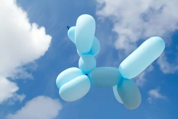 Photo of ballon with poodle dog caniche shape fly blue sky
