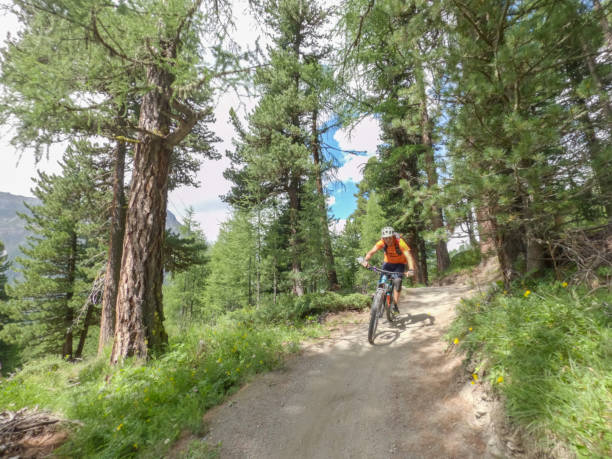 istock Mountain biker on trail from view 1336872760