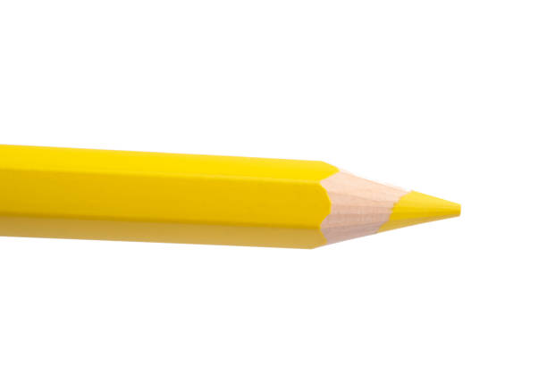 istock multicolor pencils isolated on the white 1336878888