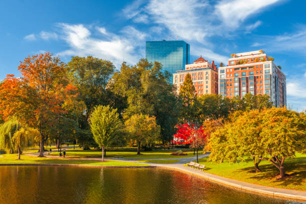 ボストン(マサチューセッツ州)、アメリカ合衆国秋期 - boston public garden ストックフォトと画像