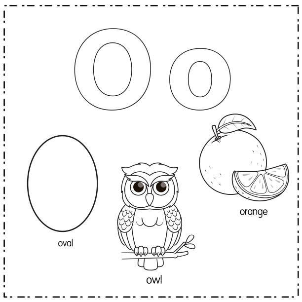 Vector illustration for learning the letter O in both lowercase and uppercase for children with 3 cartoon images. Oval Owl Orange. Black and white vector illustration for learning to write English alphabets with cartoons for children. Uppercase and lowercase letters, scribble, make, stickers, cut and paste, learning pages for kids. drawing-of-owl-wings-spread stock illustrations