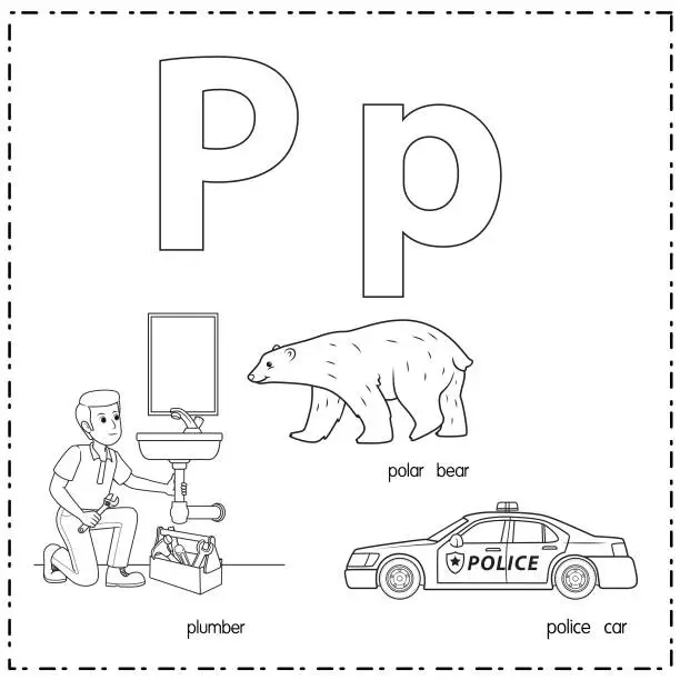 Vector illustration of Vector illustration for learning the letter P in both lowercase and uppercase for children with 3 cartoon images. Plumber Polar Bear Police Car.