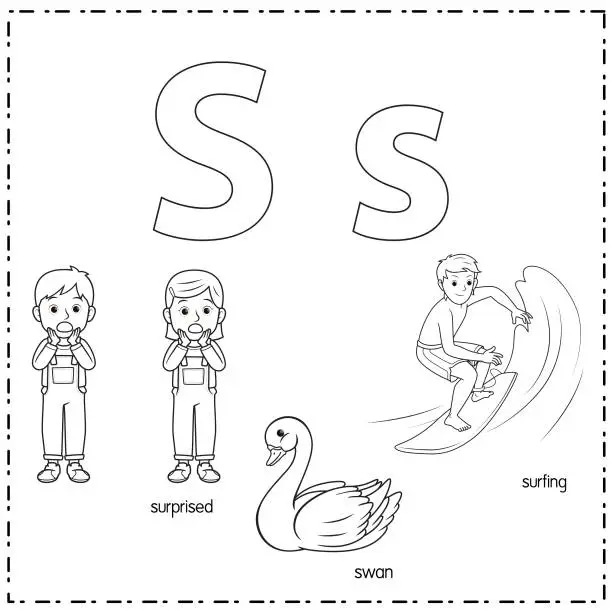 Vector illustration of Vector illustration for learning the letter S in both lowercase and uppercase for children with 3 cartoon images. Surprised Swan Surfing.