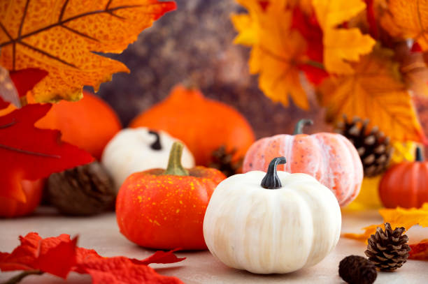 istock White and orange pumpkins composition with fall yellow leaves and pine cones. 1336884466