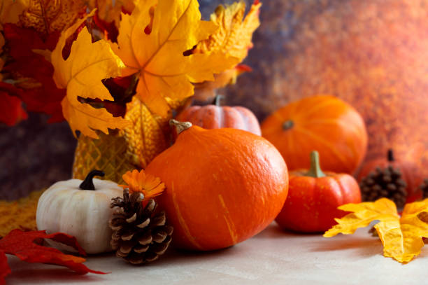 istock Autumn copmosition with pumpkins and colorful leaves, pine cones. 1336884473