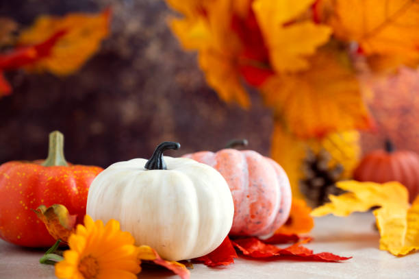 istock White and orange pumpkins composition with fall yellow leaves and pine cones. 1336884475