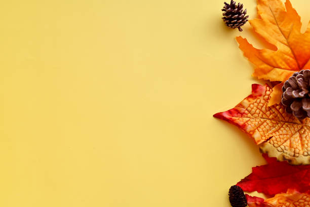 istock Autumn mockup border with orange fall leaves, pine cones on bright background, copy space. 1336884638