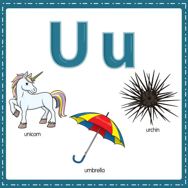 Vector illustration of Vector illustration for learning the letter U in both lowercase and uppercase for children with 3 cartoon images. unicorn umbrella urchin.