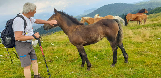 istock Senior men stroking a horse in mountains 1336885453