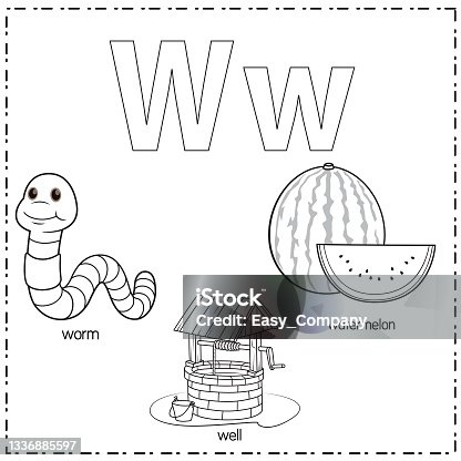 istock Vector illustration for learning the letter W in both lowercase and uppercase for children with 3 cartoon images. Worm Well Watermelon. 1336885597