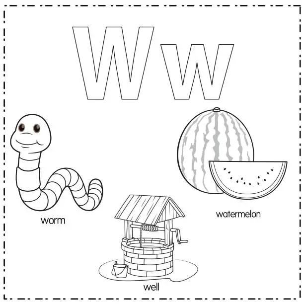 Vector illustration of Vector illustration for learning the letter W in both lowercase and uppercase for children with 3 cartoon images. Worm Well Watermelon.