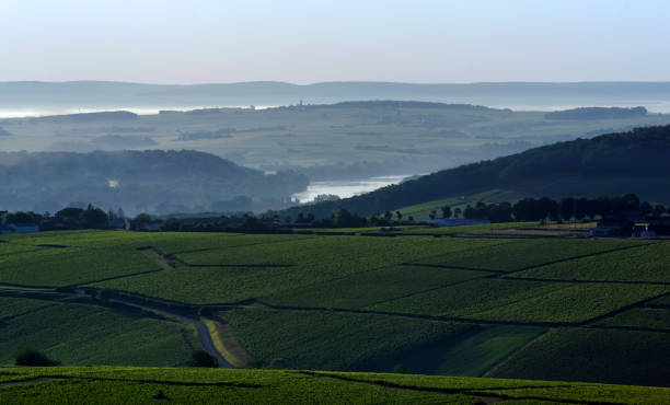 istock Sancerre vineyard and Loire river 1336887080