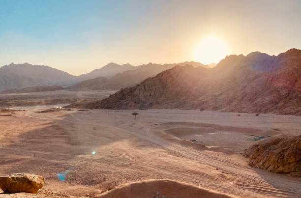 istock Desert Sinai Mountains at Sunset 1336889486