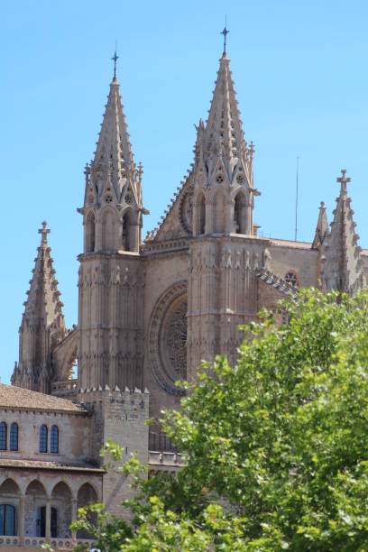 istock The cathedral of Palma de Mallorca 1336889748