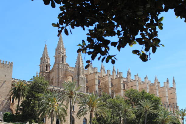 istock The cathedral of Palma de Mallorca 1336889765