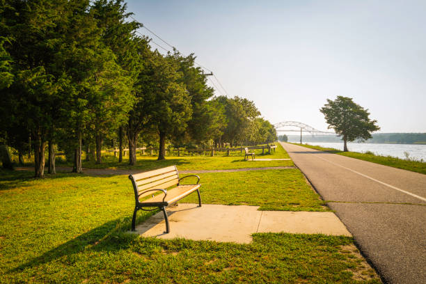 istock Resting benches on the green riverbank along Cape Cod Canal in Massachusetts 1336891225