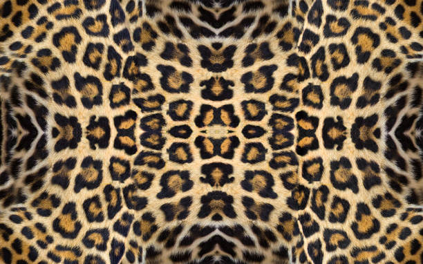 istock pattern of jaguar leather on the background 1336891369