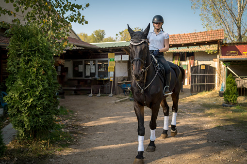 Portrait of teenage girl with horse in stable