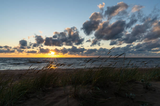 istock colorful beach sunset with the sun dropping into the ocean under an expressive sky and marsh grass in sand dunes 1336892604
