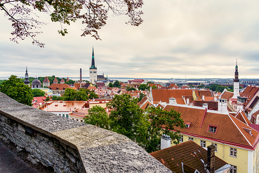 Aerial view of the city of Tallinn with its church towers at sunset.