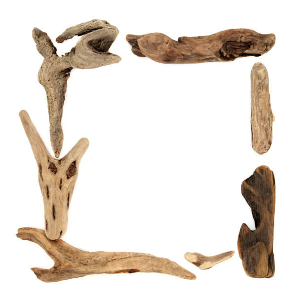 istock Natural Driftwood Square Background Border 1336896620