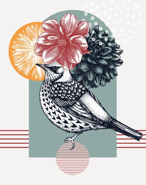 ilustrações de stock, clip art, desenhos animados e ícones de bird design in collage style - passerine